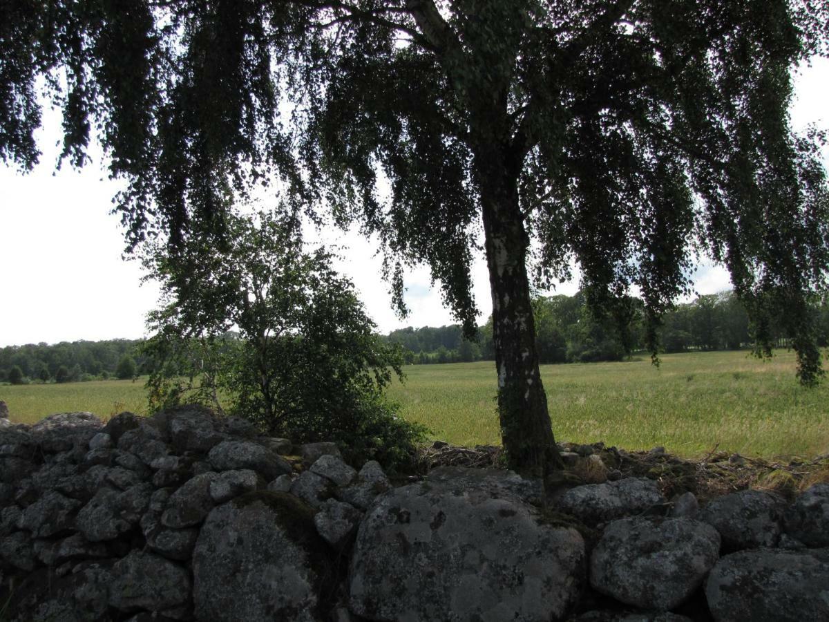 Stalemara Gard Krickan